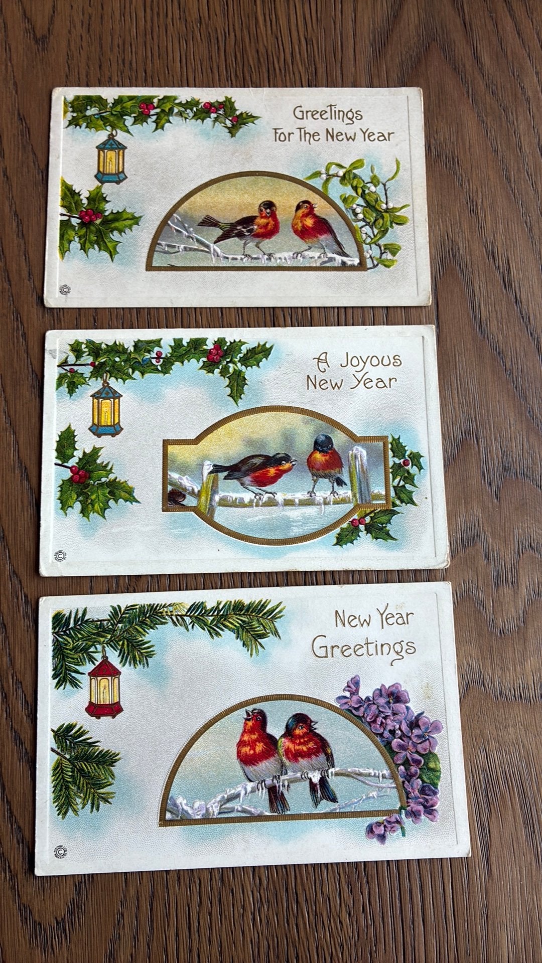 Mooie serie van 5 reliefkaarten vogels in de sneeuw, Ophalen of Verzenden, Voor 1920