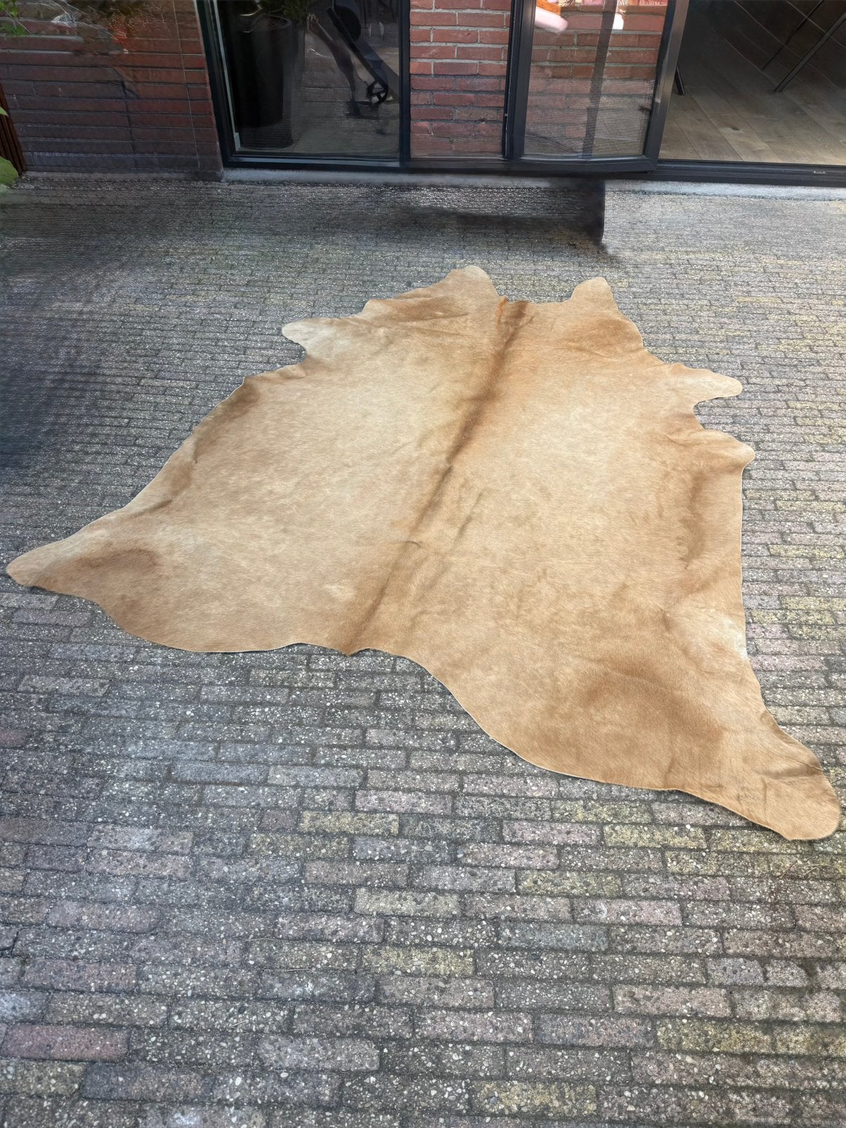 Koeienhuid vloerkleed blond zo goed nieuw, Ophalen, Zo goed als nieuw, 200 cm of meer, 150 tot 200 cm