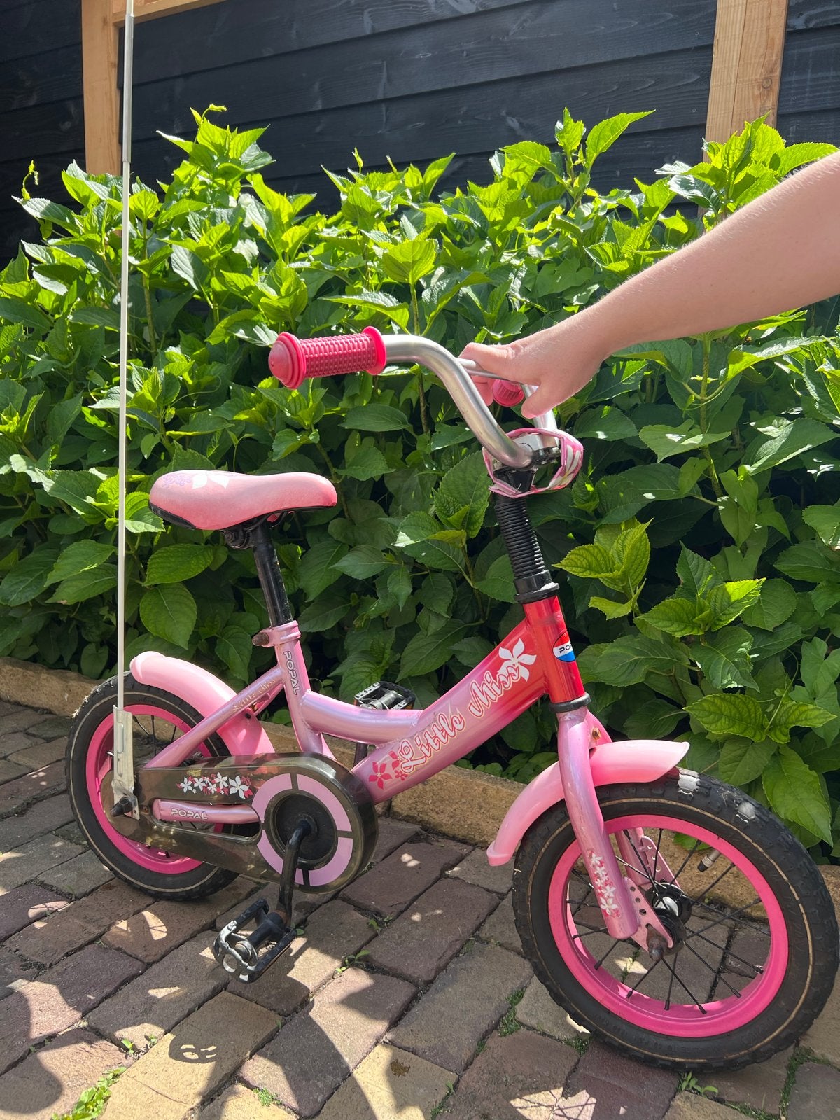 Roze kinderfiets Little Miss met vlaggetje, Ophalen, Gebruikt, Terugtraprem, Minder dan 16 inch
