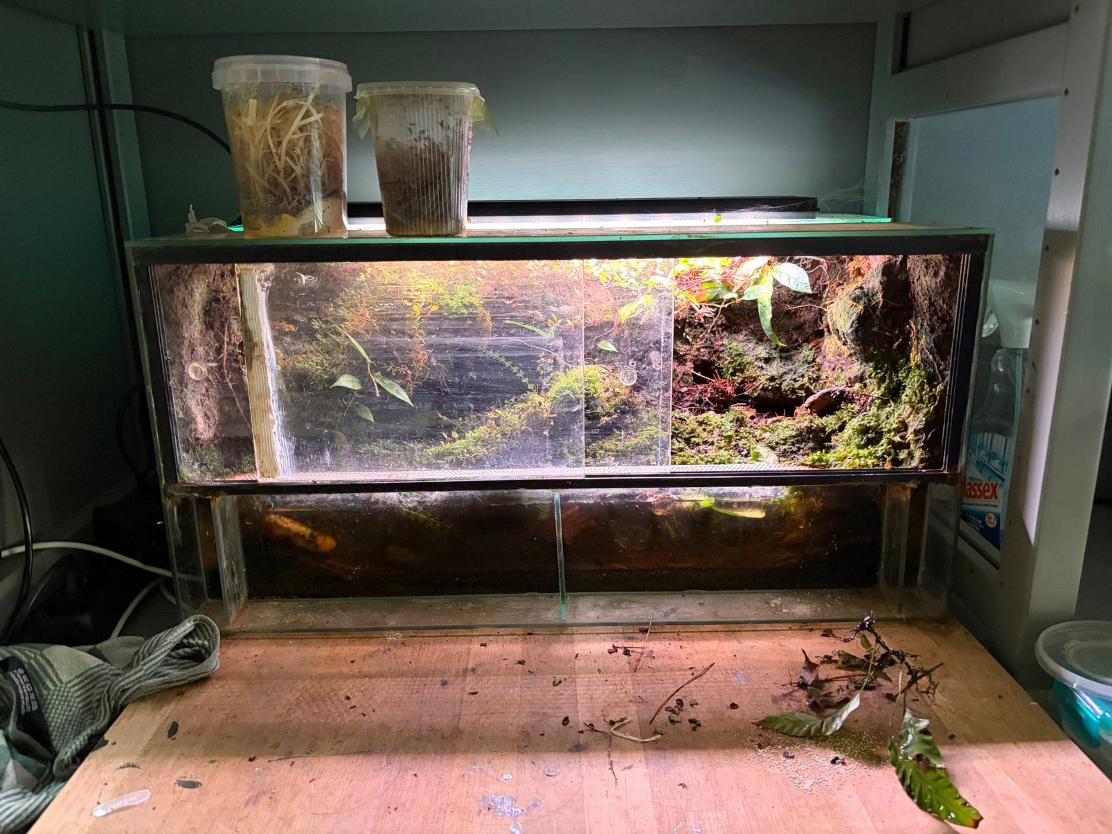 Paludariumpje, Dieren en Toebehoren, Ophalen, Gebruikt, Terrarium of Paludarium
