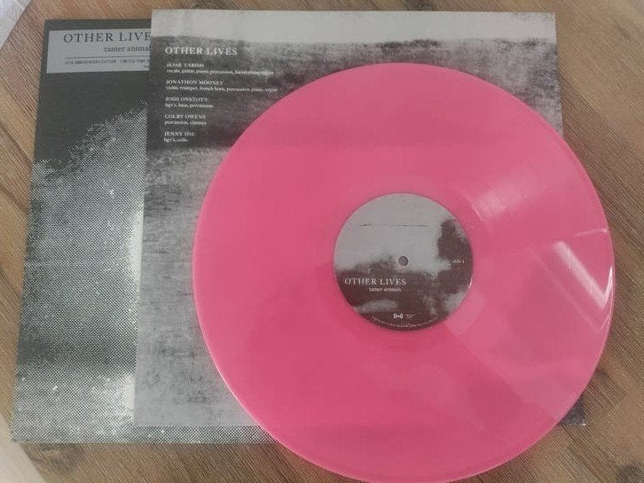 LP | Other Lives - Tamer Animals, Ophalen, Zo goed als nieuw, 12 inch, Poprock