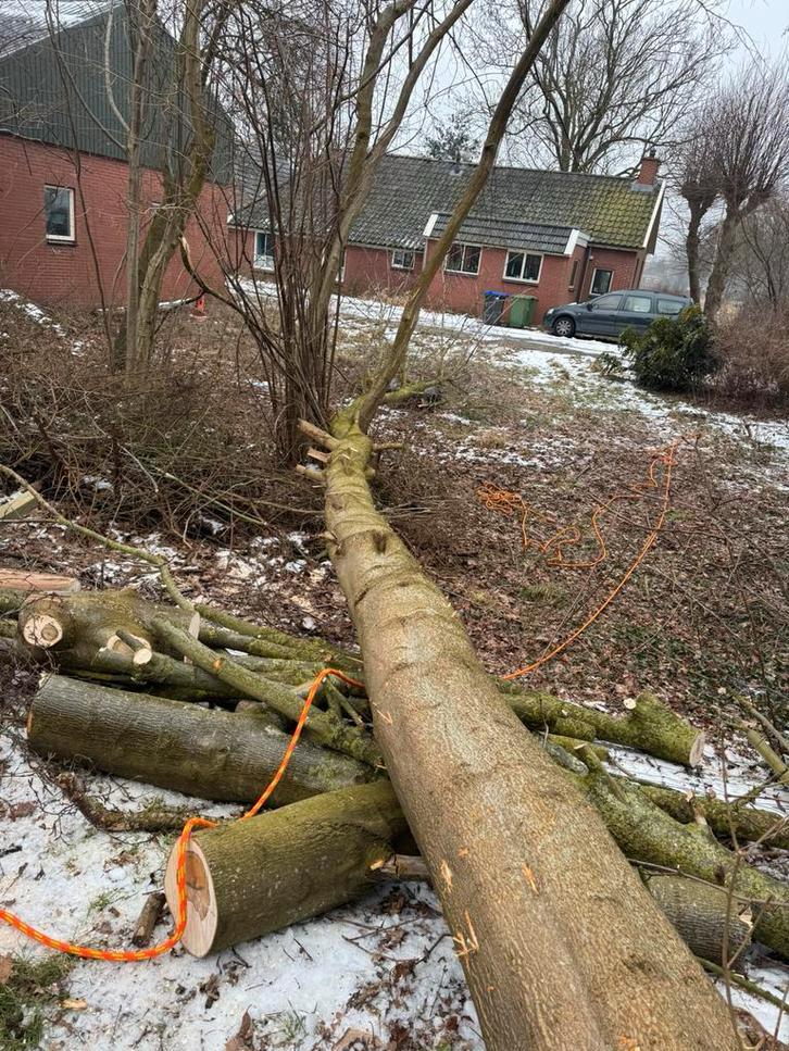 Bomen zager / boomverzorger., Tuinonderhoud of Snoeiwerk