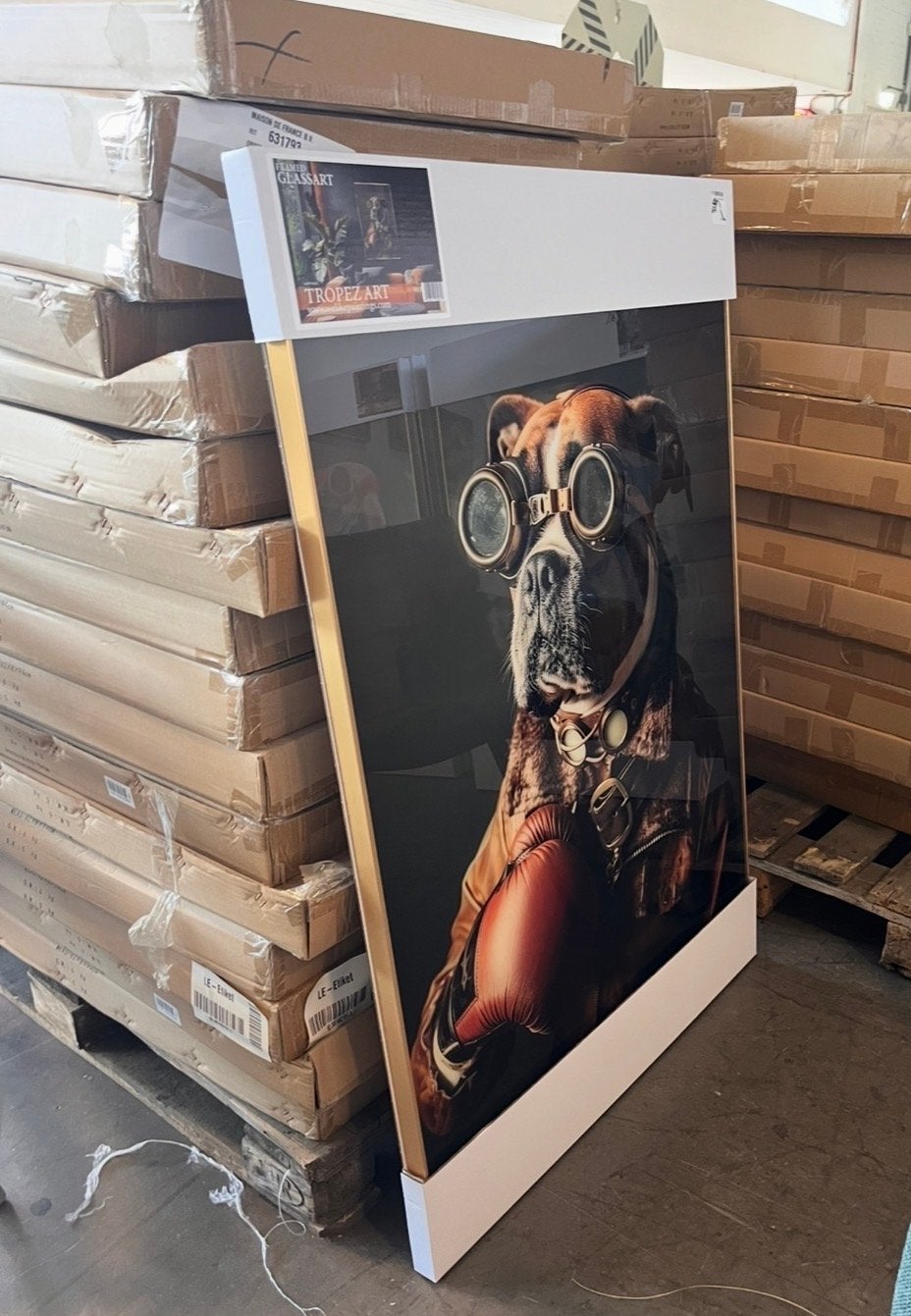 Loods 5 Poster met goudkleurige lijst - Boxer met bril, Ophalen