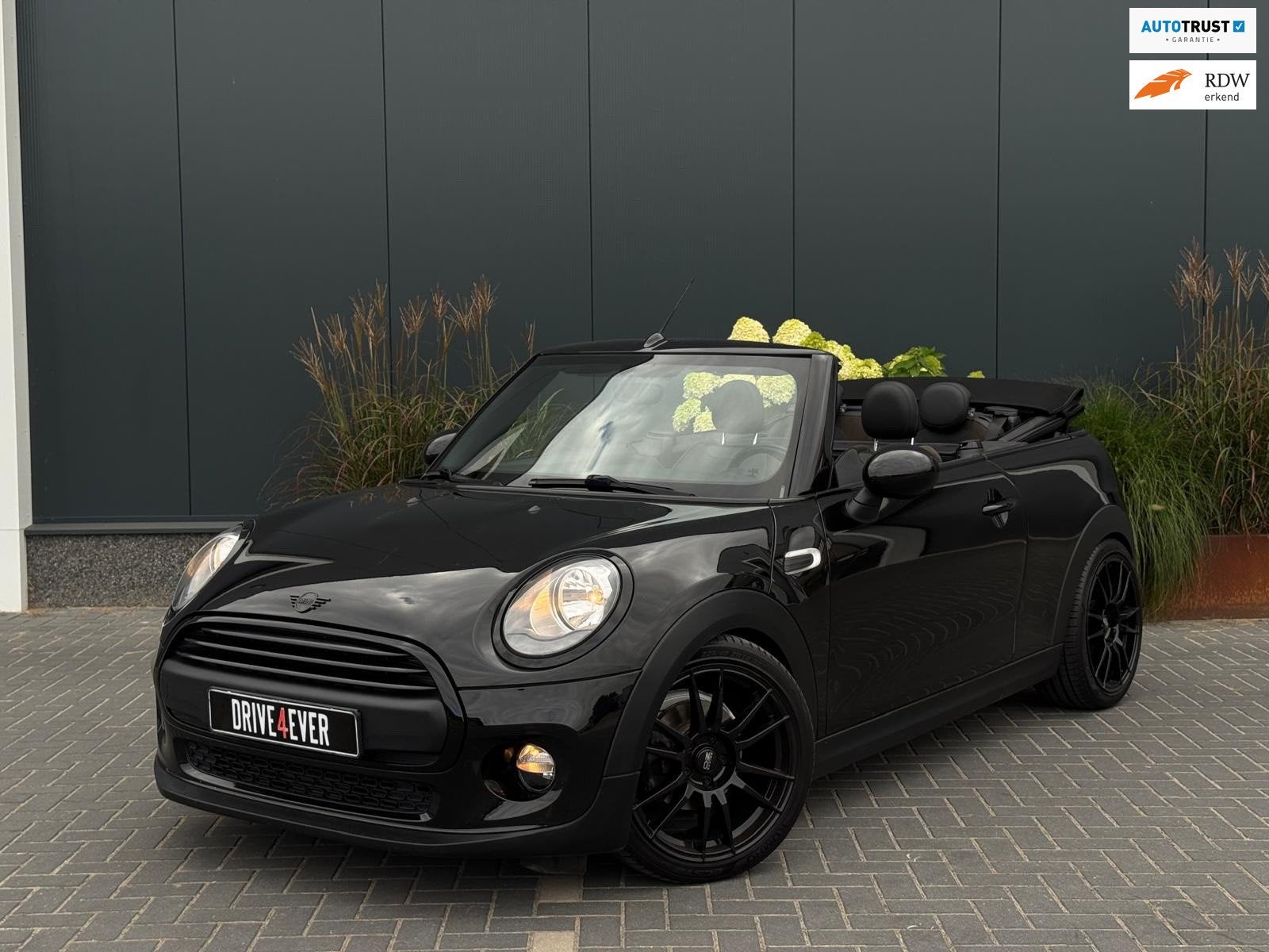 Mini Cabrio 1.2 One Chili Business LEDER|LED|PDC|CLIMATE|SPO, Voorwielaandrijving, Gebruikt, 4 stoelen, 1198 cc