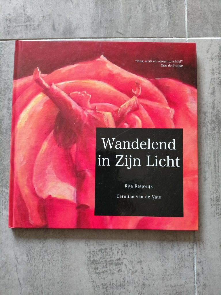 Wandelend in zijn licht in nieuwstaat., Ophalen of Verzenden, Zo goed als nieuw