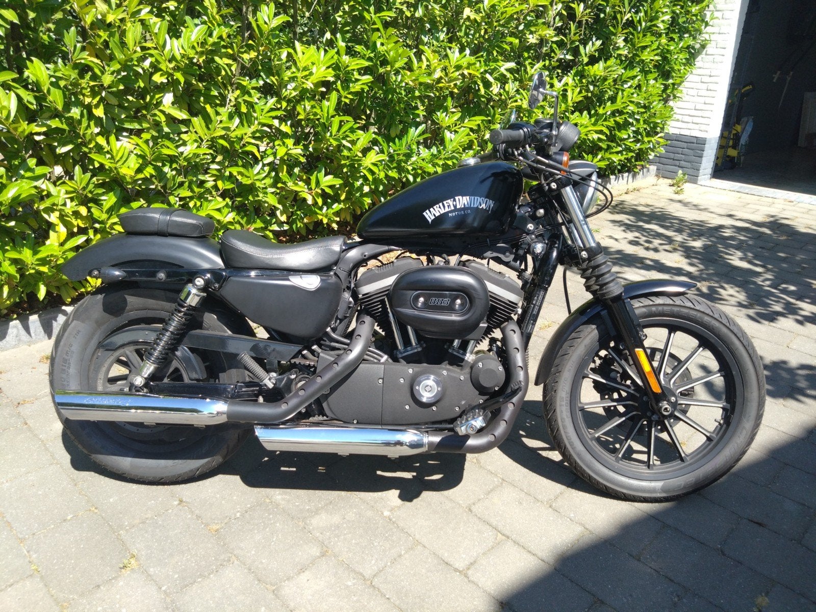 Harley-Davidson Sportster XL 883 iron, 2 cilinders, Chopper, Gebruikt, 883 cc