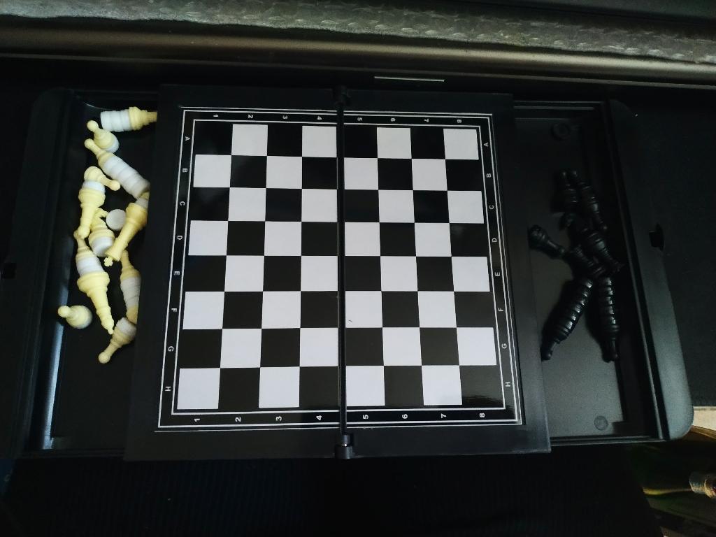 Reis schaak van plastic met magneten, Hobby en Vrije tijd, Gezelschapsspellen | Bordspellen, Een of twee spelers, Ophalen of Verzenden
