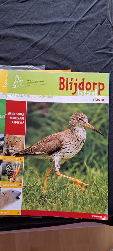 50 bladen diergaarde blijdorp., Boeken, Auto's | Folders en Tijdschriften, Zo goed als nieuw, Algemeen, Ophalen of Verzenden