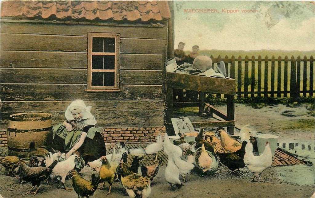 379-170-001 Walcheren Kippen Voeren, Verzenden, Voor 1920, Zeeland