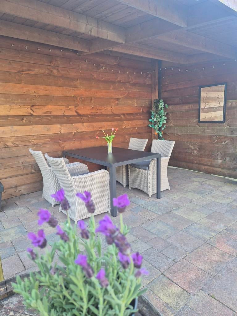 Mooie tuinset, tafel met 4 stoelen, Ophalen, Zo goed als nieuw, 4 zitplaatsen