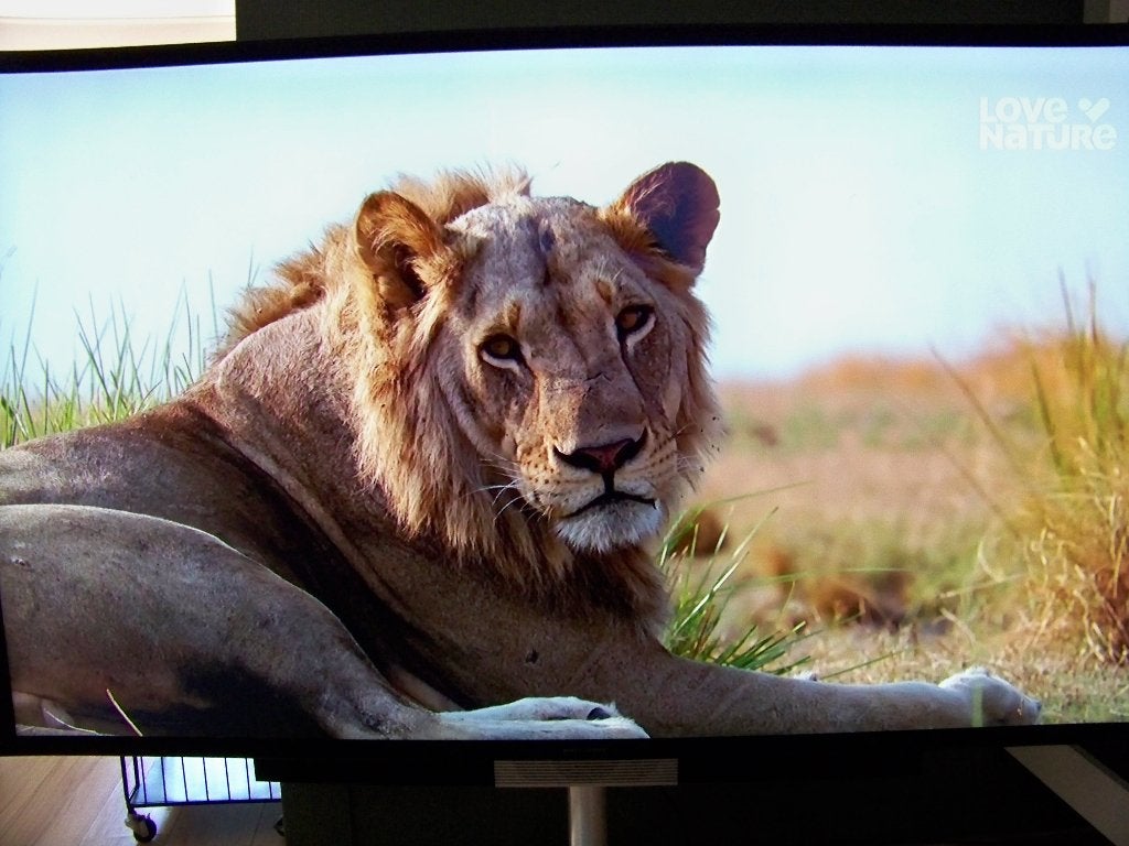 Bang & Olufsen Beovision Avant 85 UHD 4K elektrische stand, 120 Hz, 100 cm of meer, 4k (UHD), Smart TV