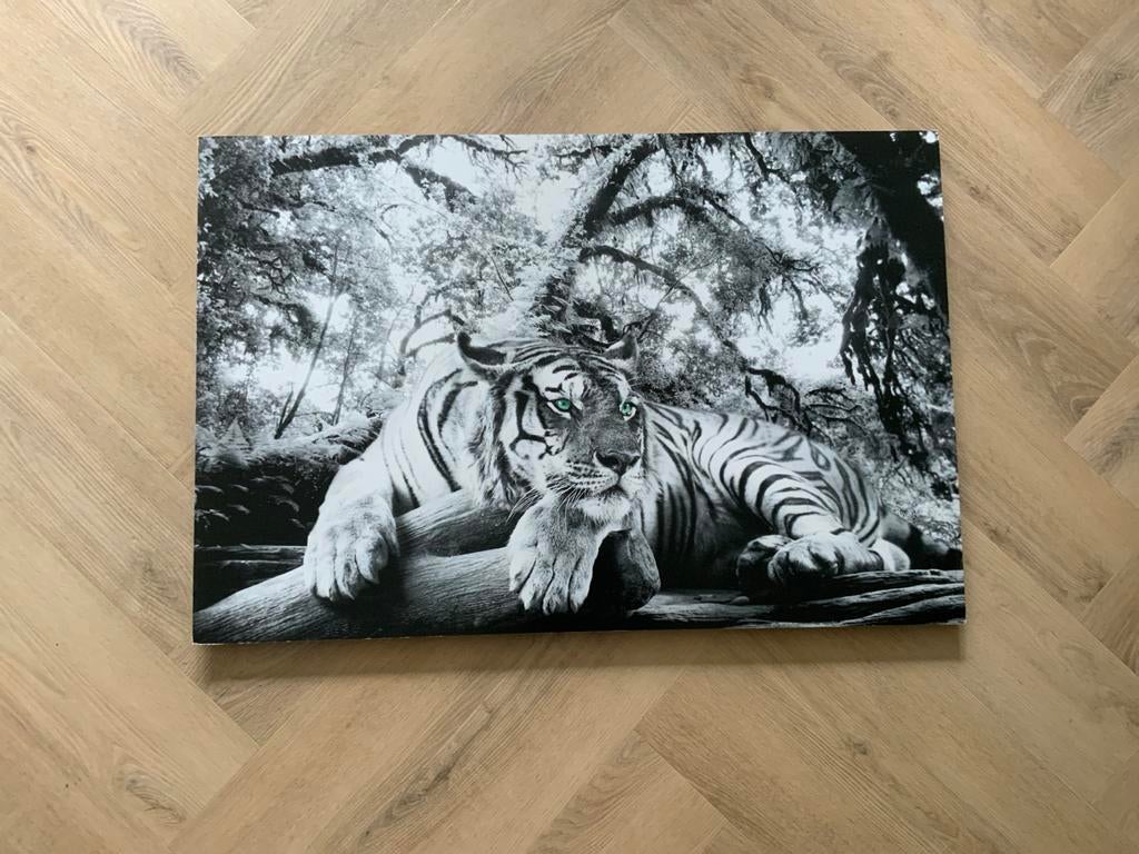 Canvas schilderij tijger met blauwe ogen, 50 tot 75 cm, Nieuw, Ophalen of Verzenden, Schilderij