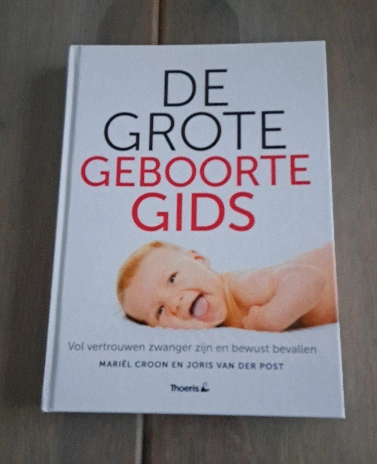 De Grote Geboortegids: Zwangerschap en Bevalling, Ophalen of Verzenden, Zo goed als nieuw, Zwangerschap en Bevalling, Mariél Croon en Joris van der Post