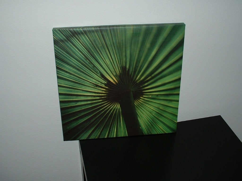 Schilderij groen, Ophalen, Minder dan 50 cm, Zo goed als nieuw, Schilderij