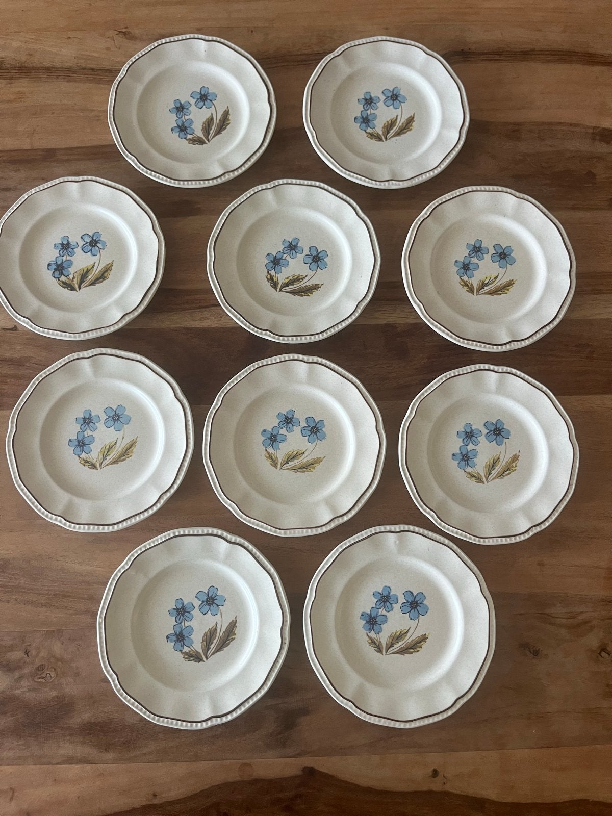 Kensington Staffordshire Handbeschilderde borden set van 10, Ophalen of Verzenden