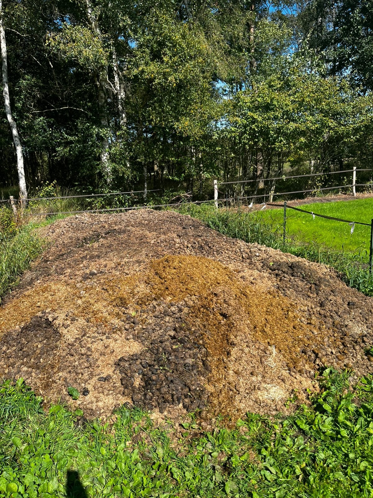 Paarden mest, Tuin en Terras, Ophalen, Mest