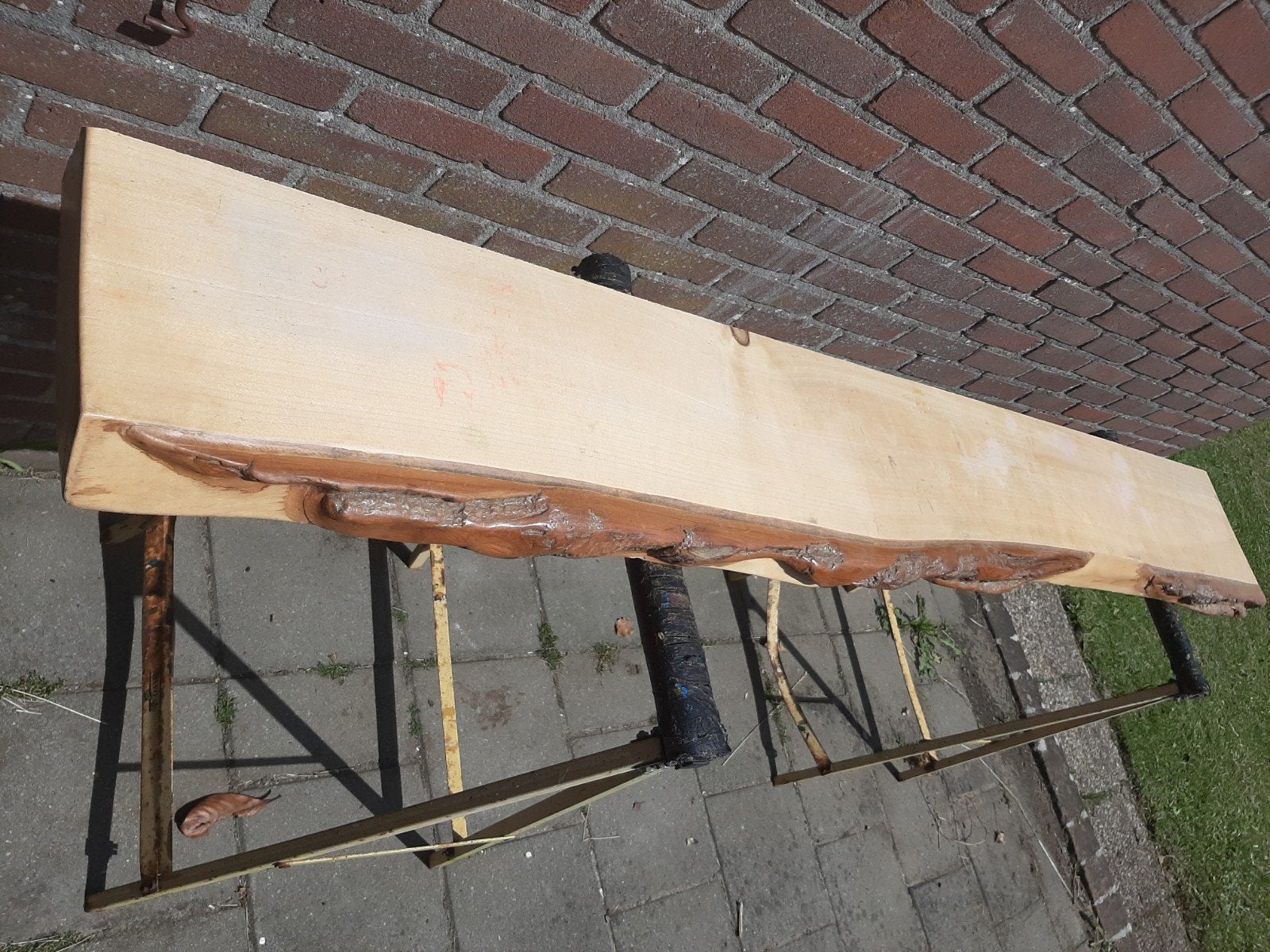Populieren wandplank met schors - Uniek karakter, Ophalen, Gebruikt, 200 tot 250 cm, Plank