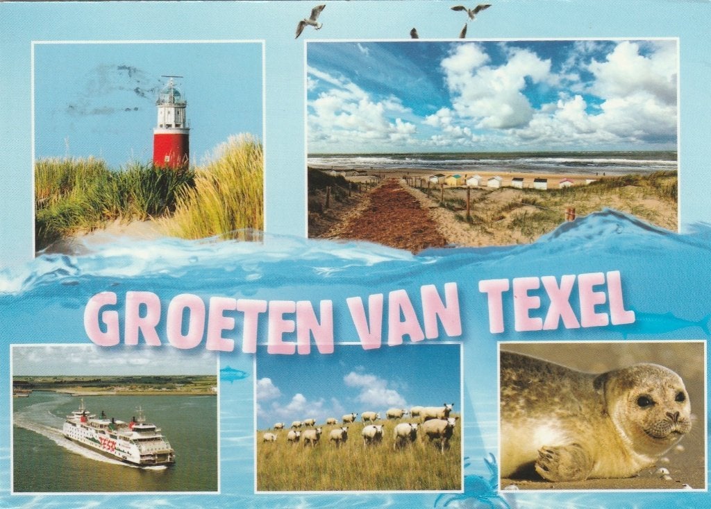 TEXEL Vuurtoren Veerboot Schapen Zeehond Groeten, Verzenden, 1980 tot heden, Gelopen, Waddeneilanden