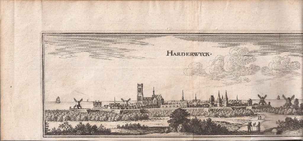 Harderwijk. "Harderwijck" Profiel stadsaanzicht Merian 1659, Antiek en Kunst, Kunst | Etsen en Gravures, 10 cm, Stadsgezicht, 29 cm