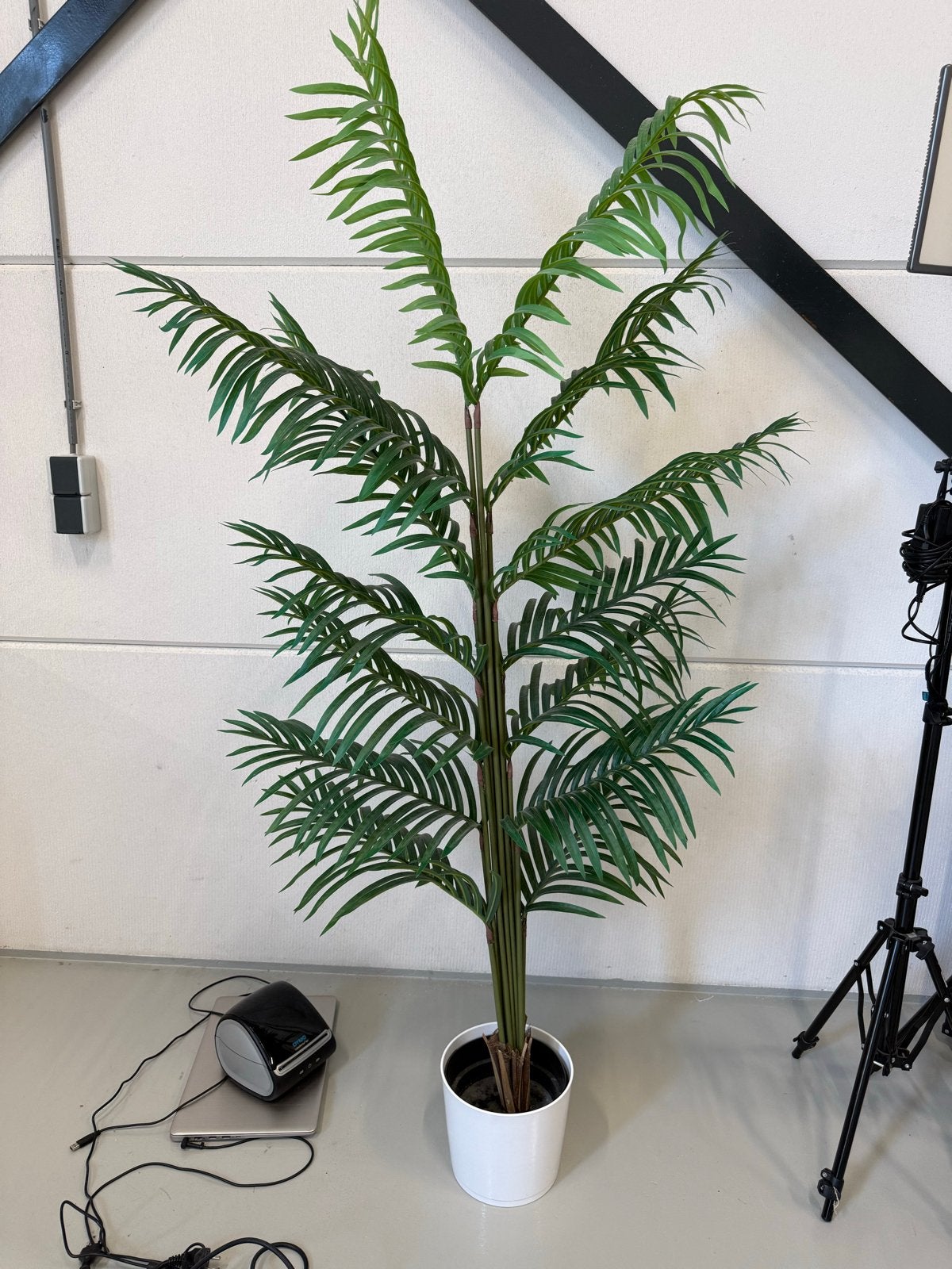 Grote kunstpalm met witte pot - Ideaal voor elk interieur, Ophalen, Binnen, Groen, Kunstplant