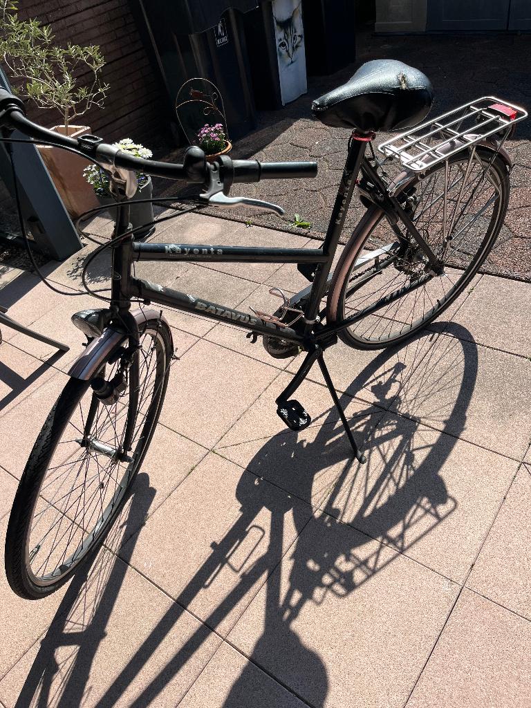 Stations fiets, Ophalen, Versnellingen, Batavus, Schijfrem