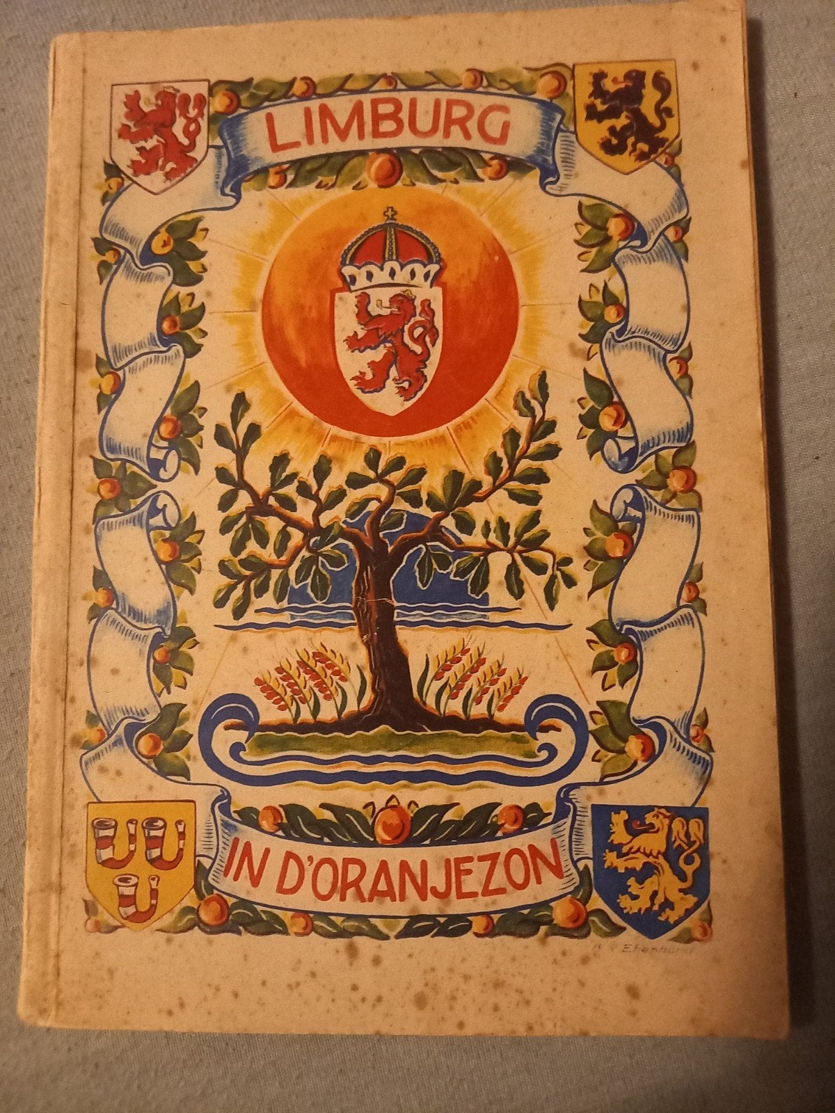 Limburg in d'Oranjezon - Historisch Boek 1898-1948, Ophalen of Verzenden, 20e eeuw of later, Gelezen, Onbekend