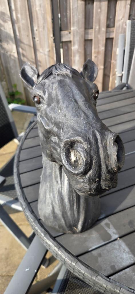 Paardenhoofd, Tuin en Terras, Ophalen of Verzenden