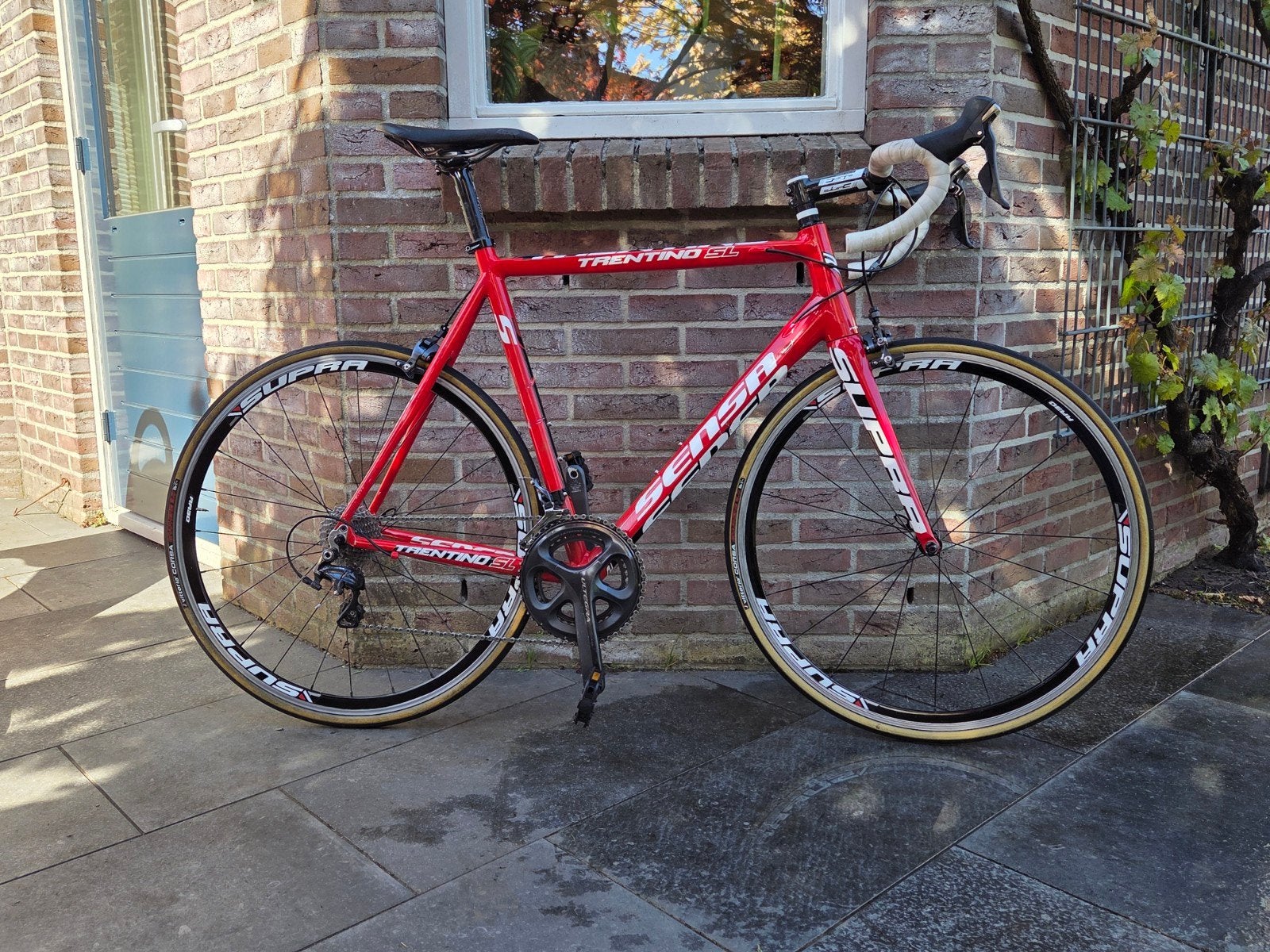 Sensa Trentino SL racefiets - Maat 60, Gebruikt, 26 inch, Aluminium, 57 tot 61 cm