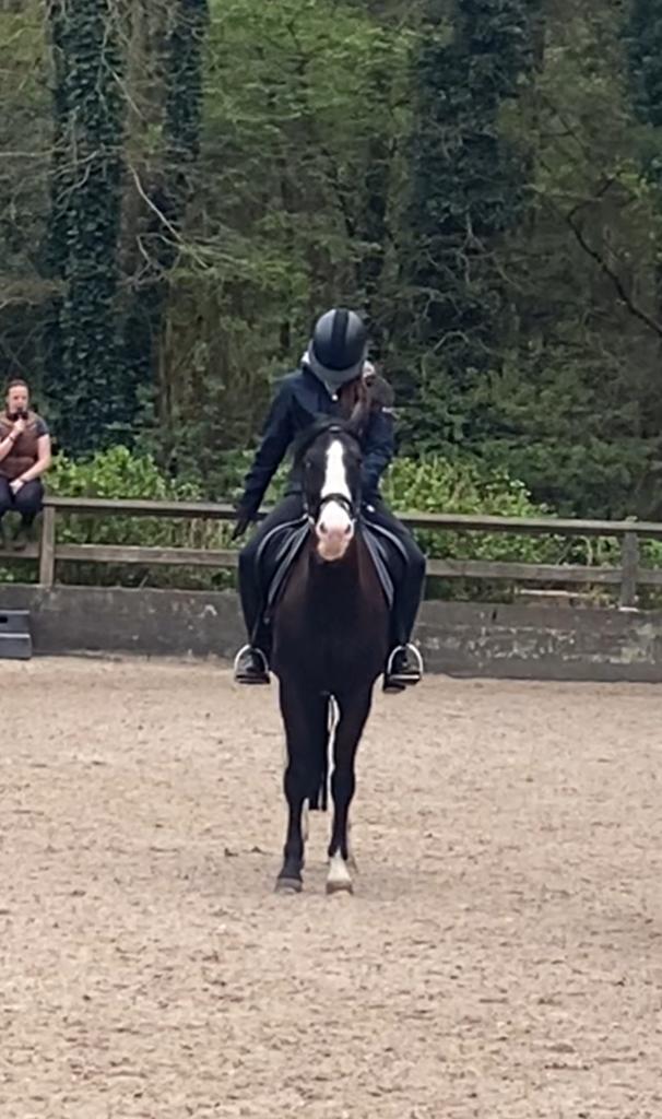 Bijrijder zoekt verzorg pony, Dieren en Toebehoren, Ophalen of Verzenden
