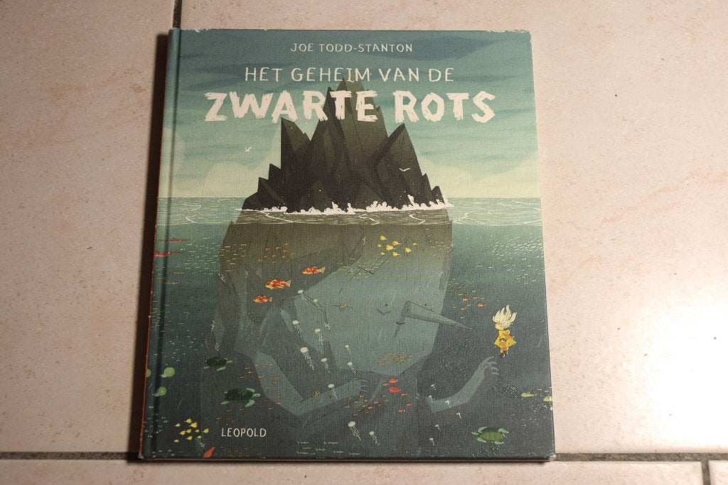 Het geheim van de zwarte rots / Joe Todd-Stanton, Boeken, Ophalen of Verzenden, Gelezen, Fictie algemeen, Voorleesboek
