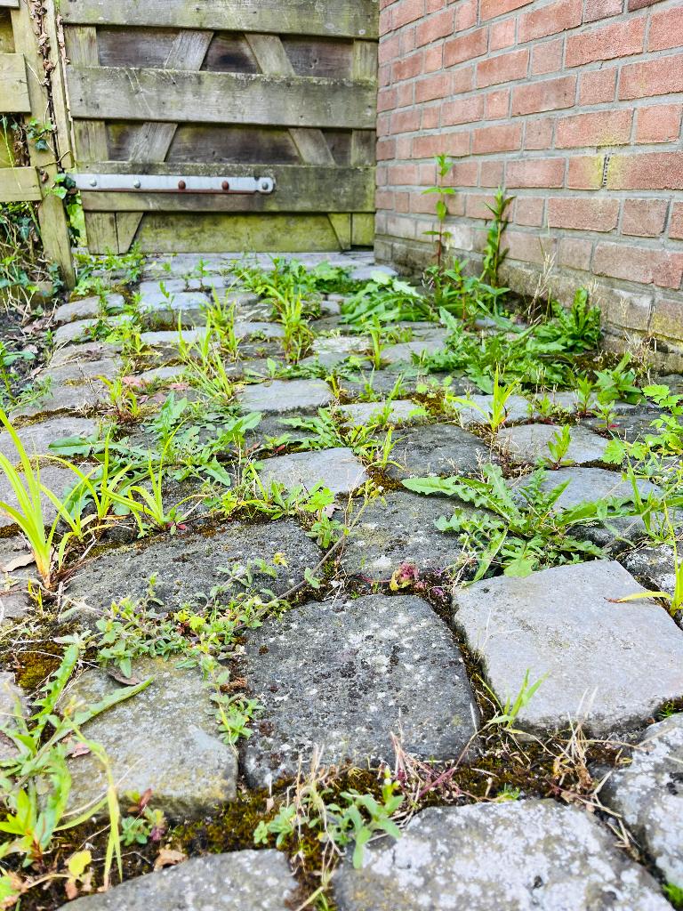 Gratis: Stenen van het terras, Tuin en Terras, Overige Tuin en Terras, Ophalen, Gebruikt