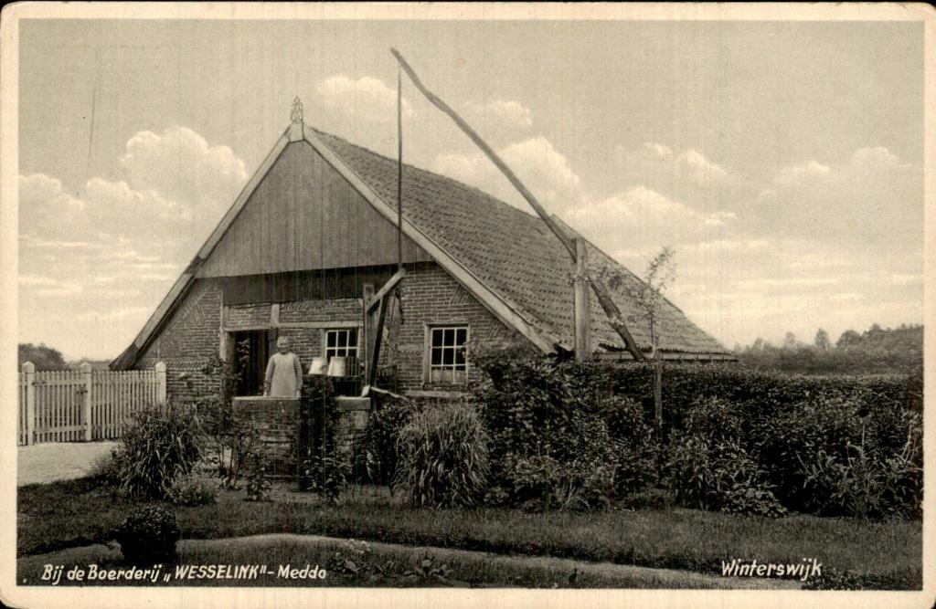 Winterswijk - Boerderij - Wesselink, Meddo, Ophalen of Verzenden, 1920 tot 1940, Ongelopen, Gelderland