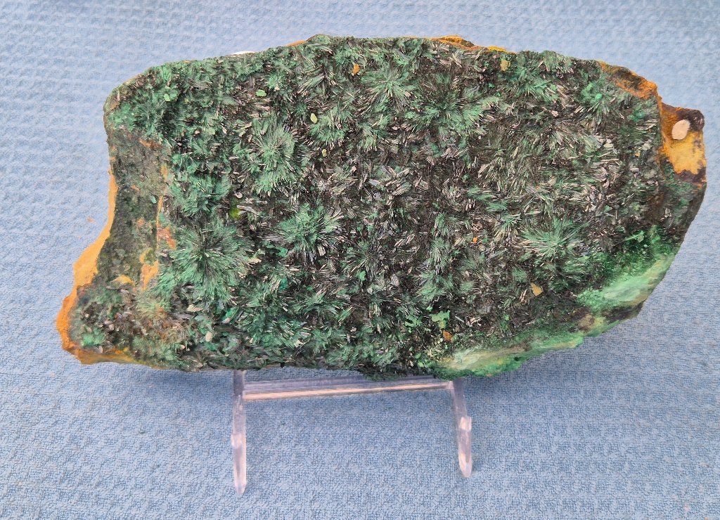 Atacamiet chrysocolla, Ophalen of Verzenden, Mineraal