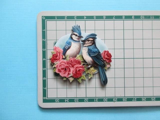 y665 Vogels, Verzenden, Nieuw, Overige thema's, Overige typen