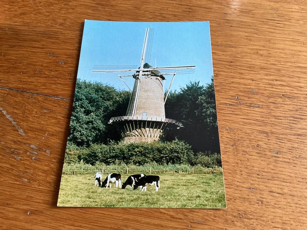 1309 molen openluchtmuseum Arnhem Delft koe, Ophalen of Verzenden, Gelderland