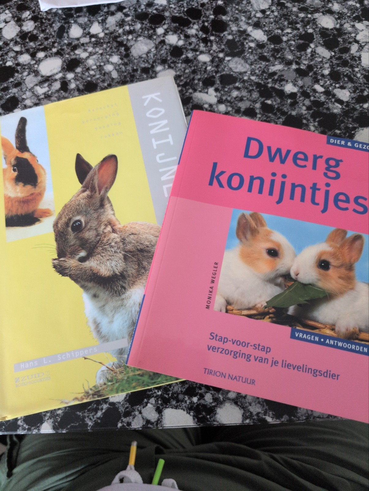 Konijnenboeken: 'Konijnen' en 'Dwergkonijntjes', Ophalen of Verzenden, Gelezen, Konijnen of Knaagdieren, Hans L. Schippers, Monika Wegler