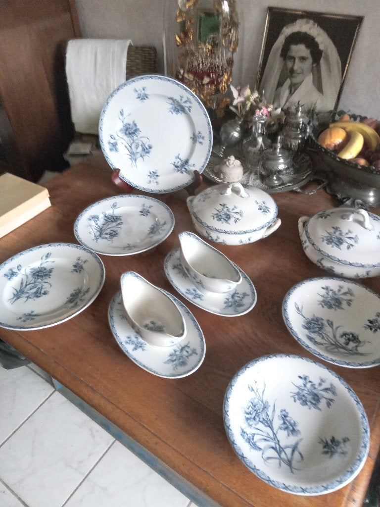 serviesdelen sarreguemines serie PRETORIA, Ophalen of Verzenden