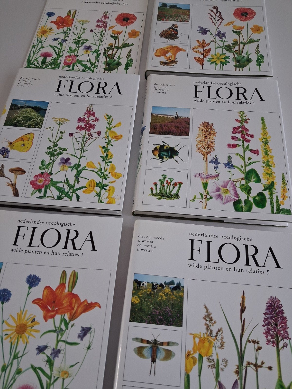 nederlandse oecologische Flora, Ophalen of Verzenden, Zo goed als nieuw, Bloemen, Planten en Bomen