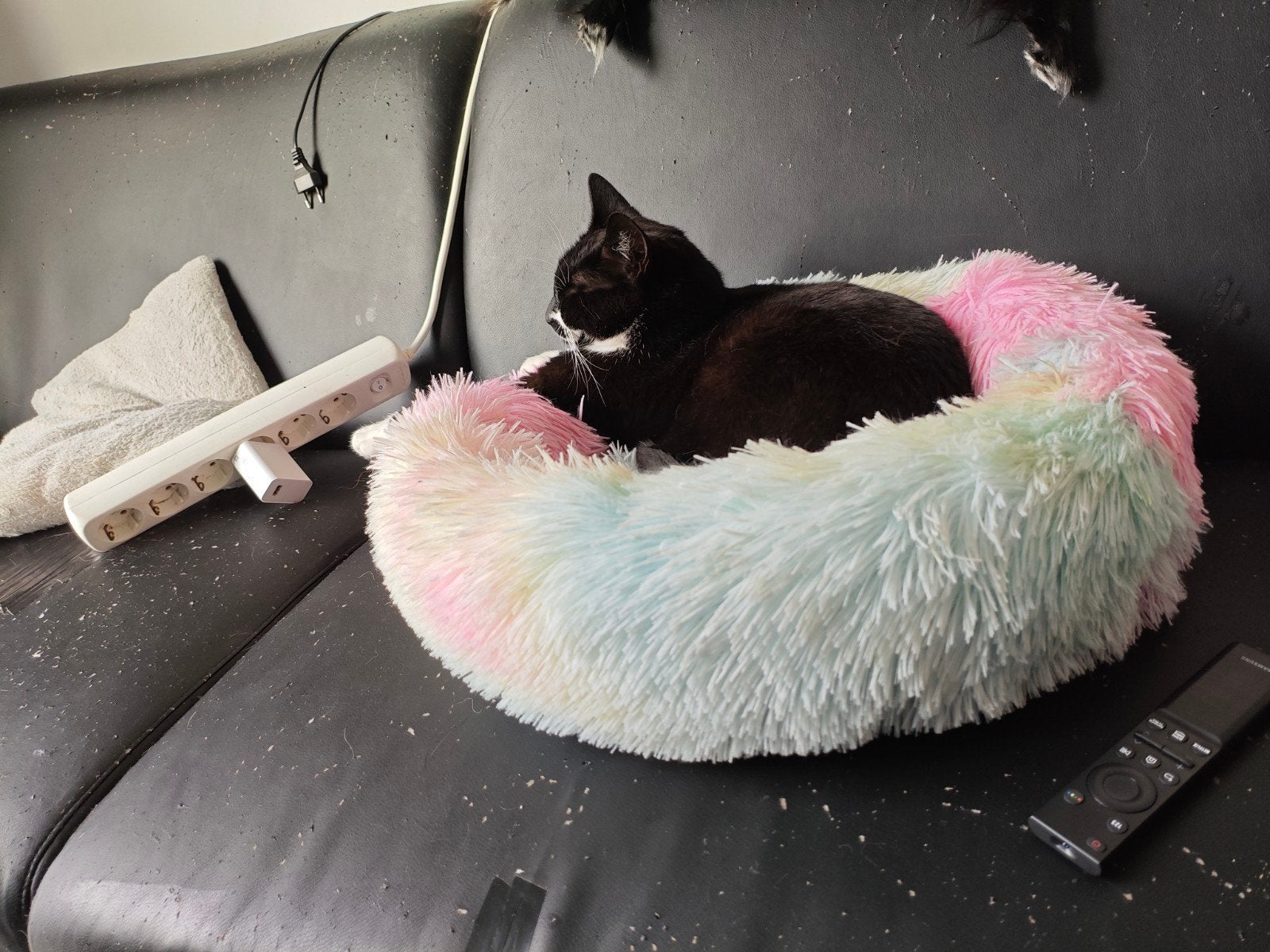 Twee zusjes, Dieren en Toebehoren, Poes