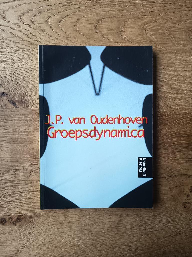 J.P. van Oudenhoven- Groepsdynamica. Relaties binnen groepen, Ophalen of Verzenden, Zo goed als nieuw
