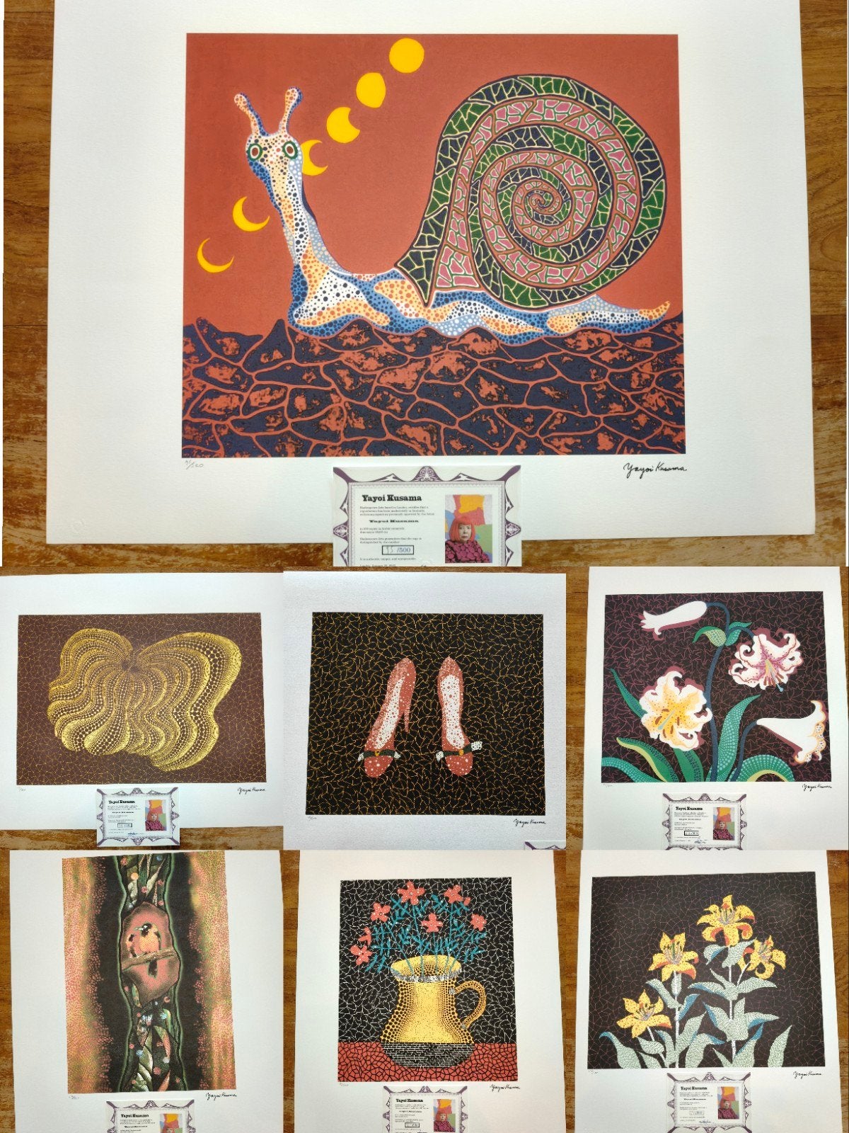 Yayoi Kusama Lithografieën, Antiek en Kunst, Genummerd, Ophalen of Verzenden, Overige onderwerpen, Lithografie