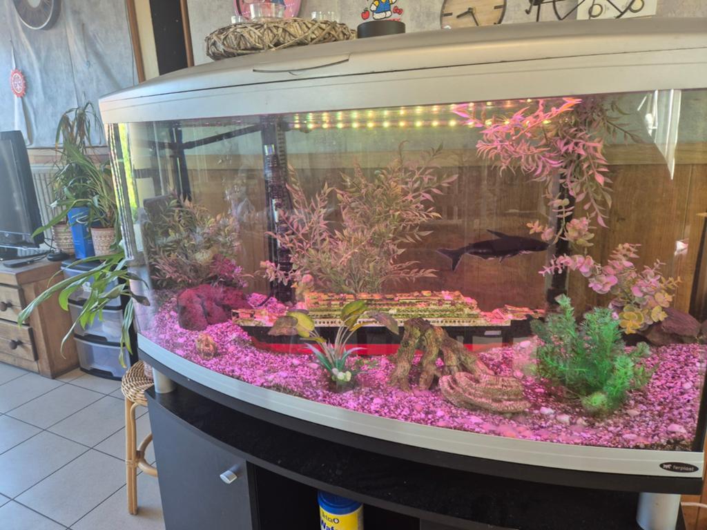 Vis aquarium 110 x 67, Ophalen of Verzenden, Zo goed als nieuw
