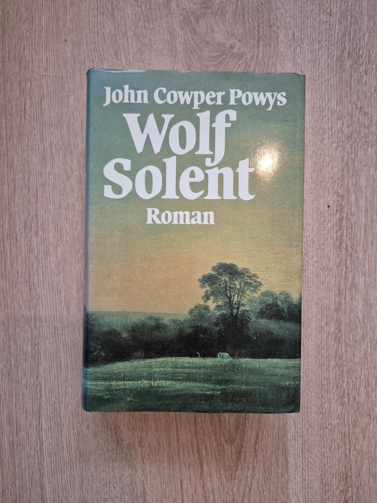 Wolf Solent – John Cowper Powys (Gebonden met stofomslag, 19, Boeken, Ophalen of Verzenden, Gelezen