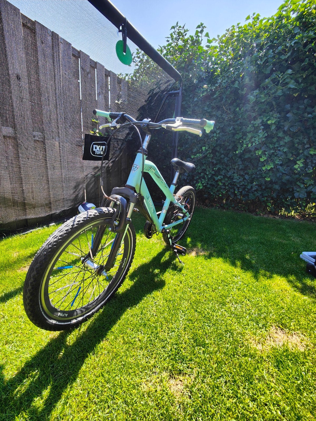 Alpina Trial 20 inch fiets, Fietsen en Brommers, Fietsen | Jongens, Ophalen, Terugtraprem, Gebruikt, 20 inch