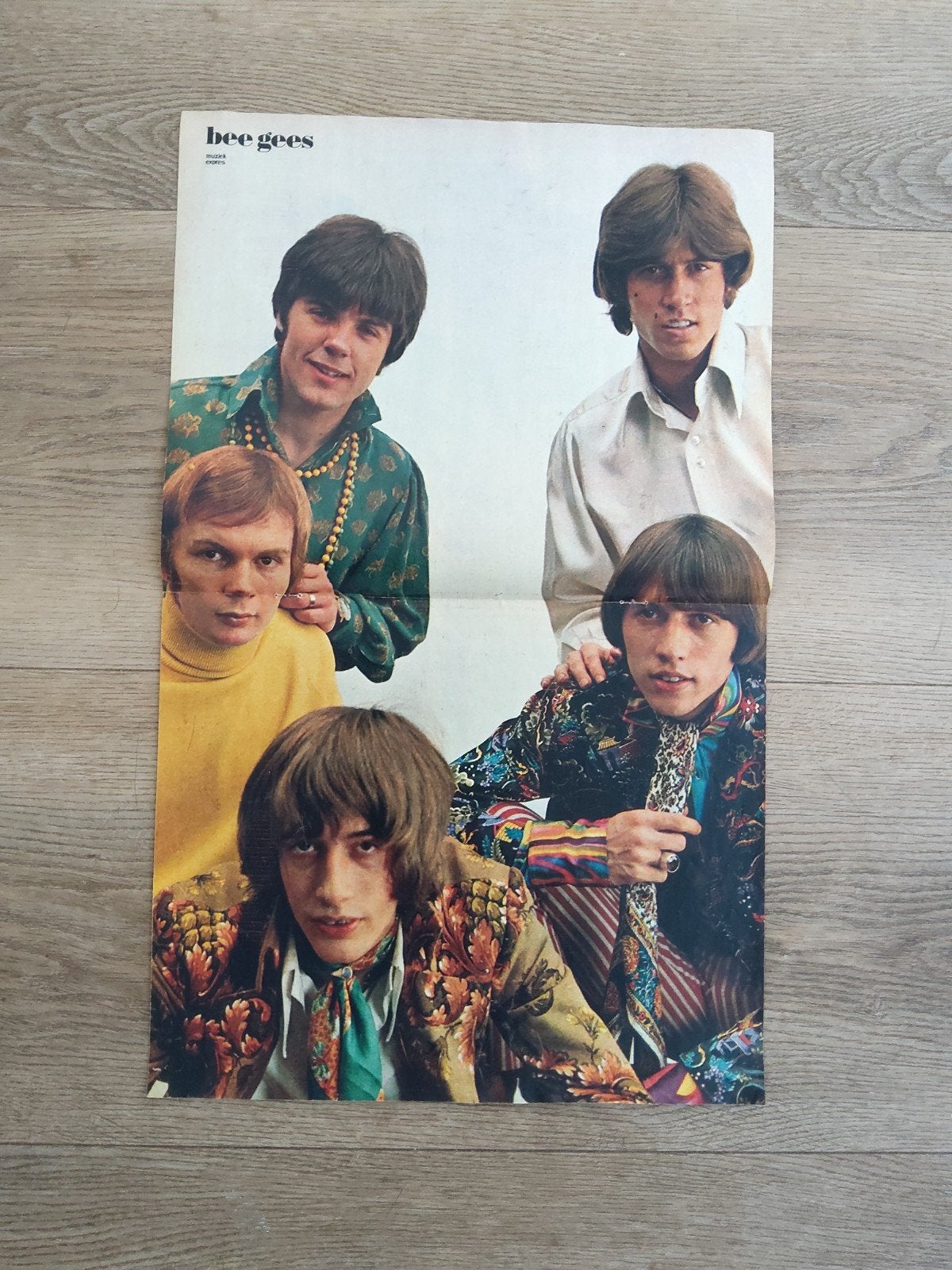 The Bee Gees:  Poster muziek expres, Ophalen of Verzenden, A1 t/m A3