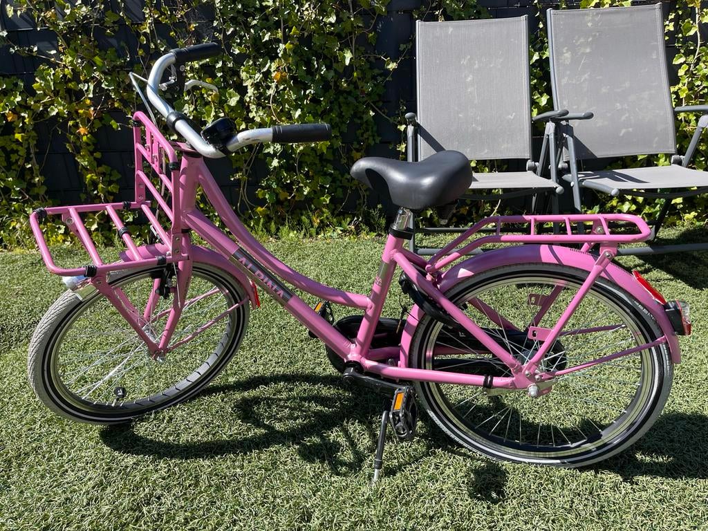 Alpina 20 inch meisjesfiets - Roze, Fietsen en Brommers, Ophalen of Verzenden, Gebruikt, Velgrem, 16 tot 20 inch