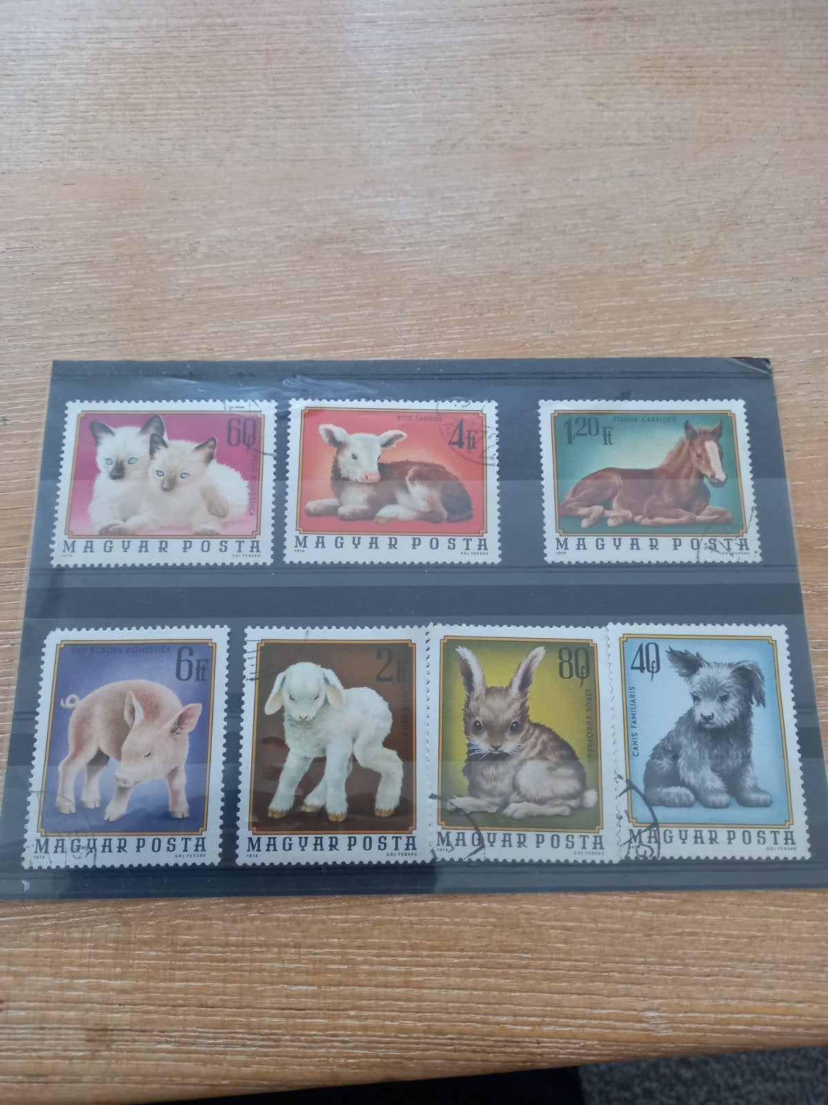 Set van 6 Hongaarse postzegels met jonge dieren, Ophalen of Verzenden, Na 1940, Postfris