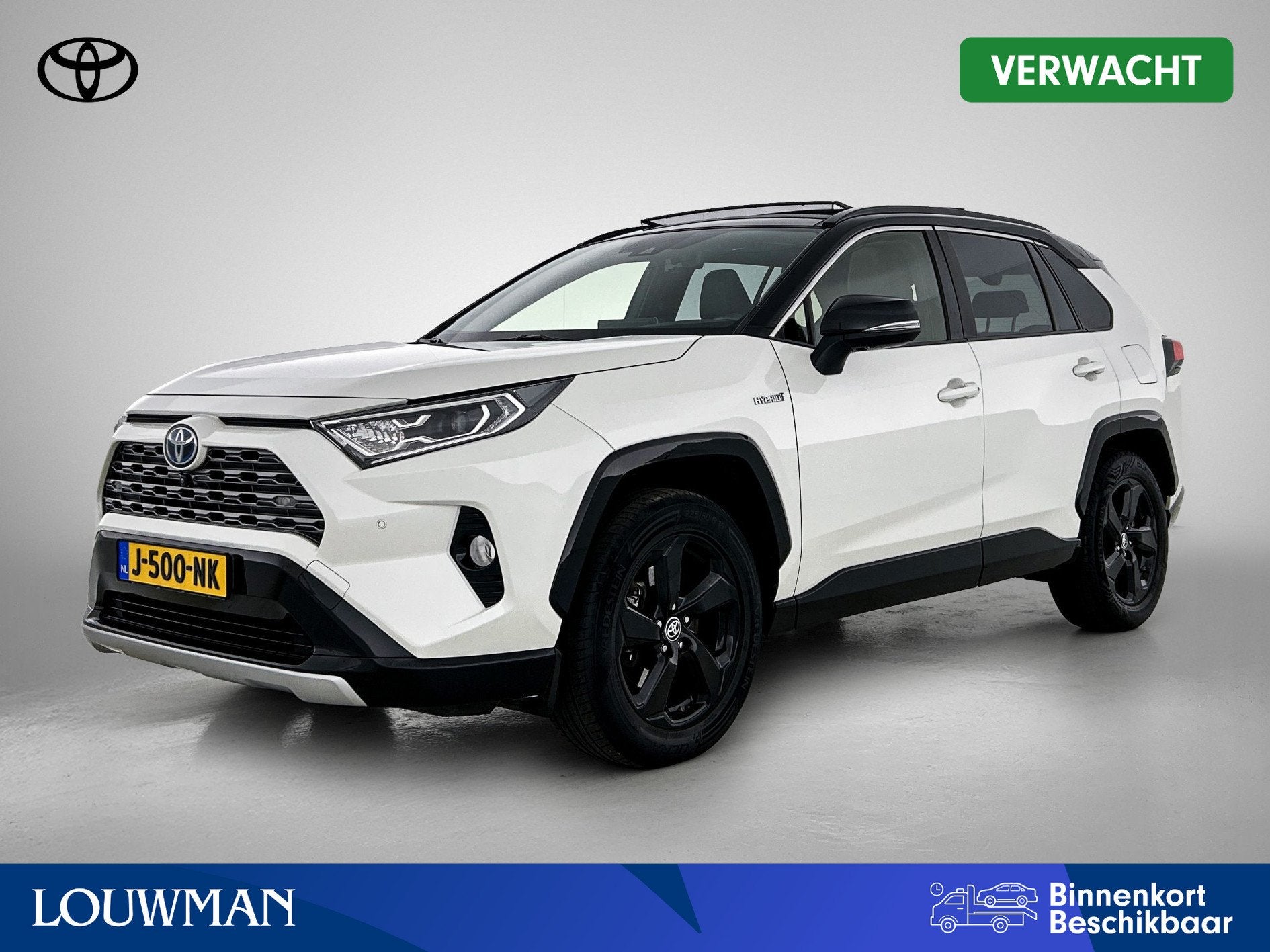 Toyota RAV4 2.5 Hybrid AWD Bi-Tone | JBL | Schuif kantel dak
