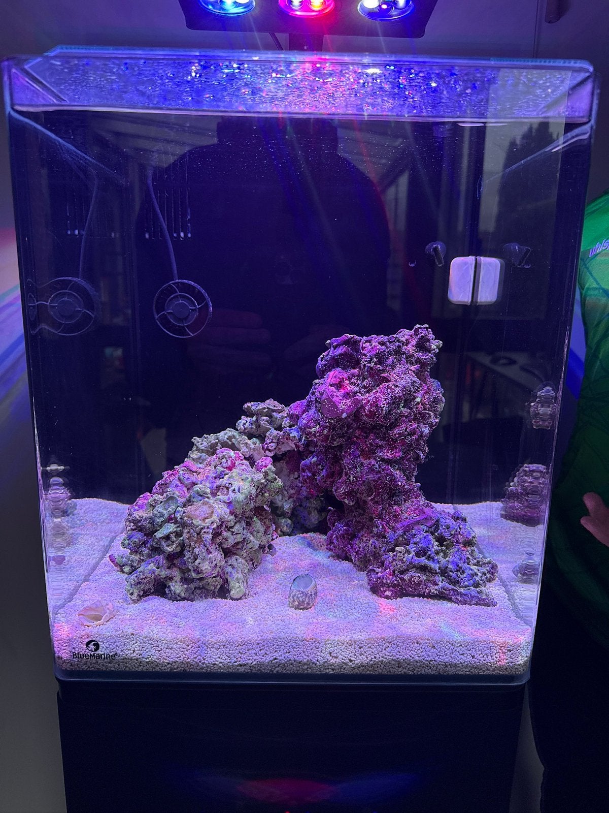 Blue Marine Reef 60 zeeaquarium – compleet en veel techniek!, Dieren en Toebehoren, Ophalen, Gebruikt