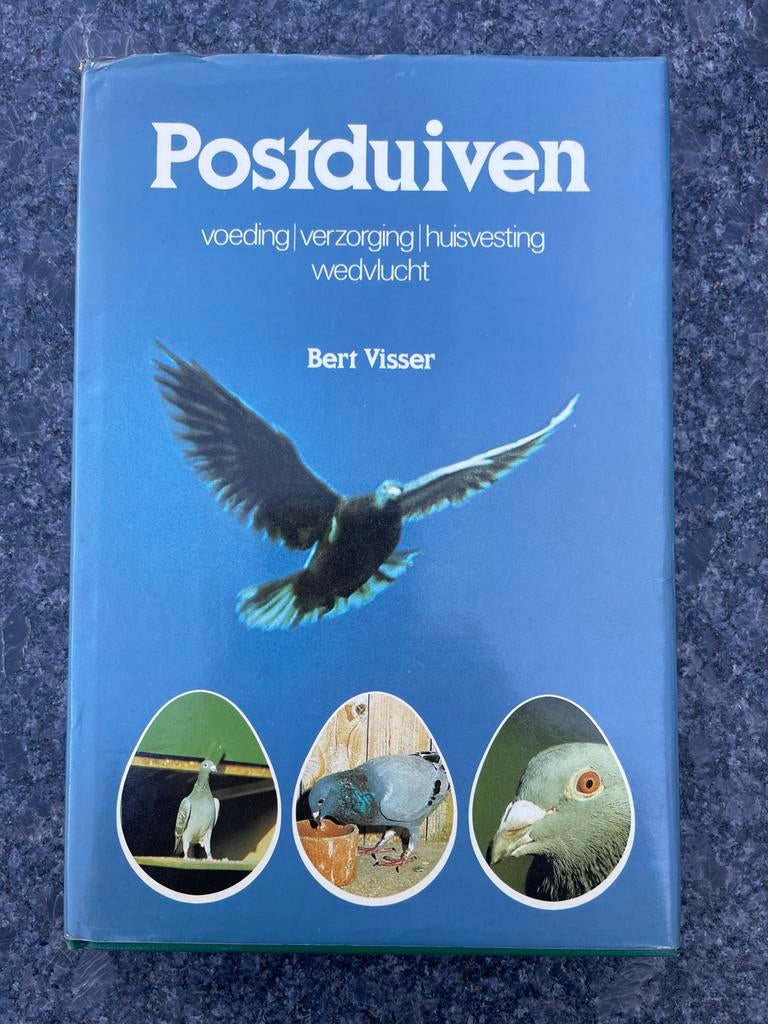 Postduiven: voeding, verzorging, huisvesting, wedvlucht, Ophalen of Verzenden, Gelezen